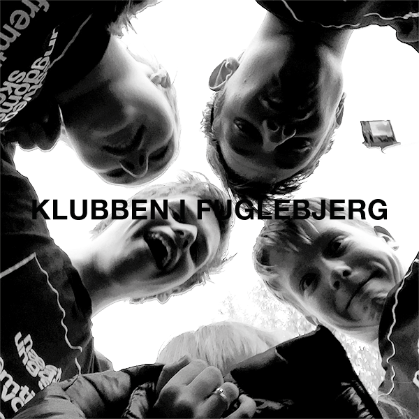 fuglebjerg