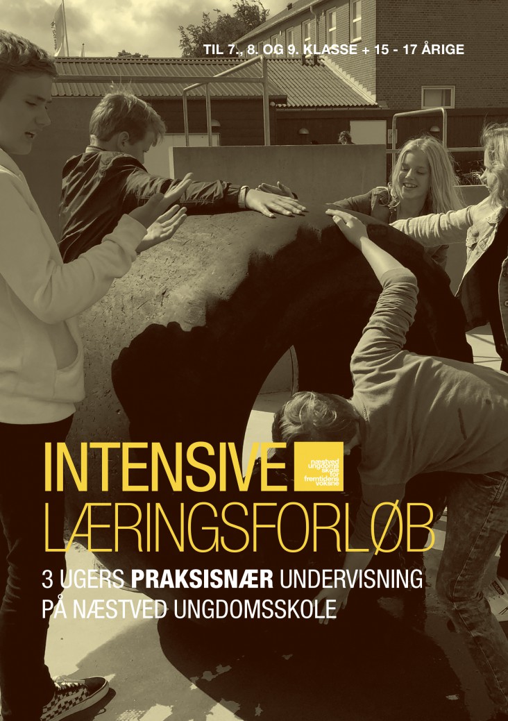 IntensiveLæringsforløbFRONT
